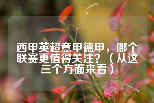 球员们的身