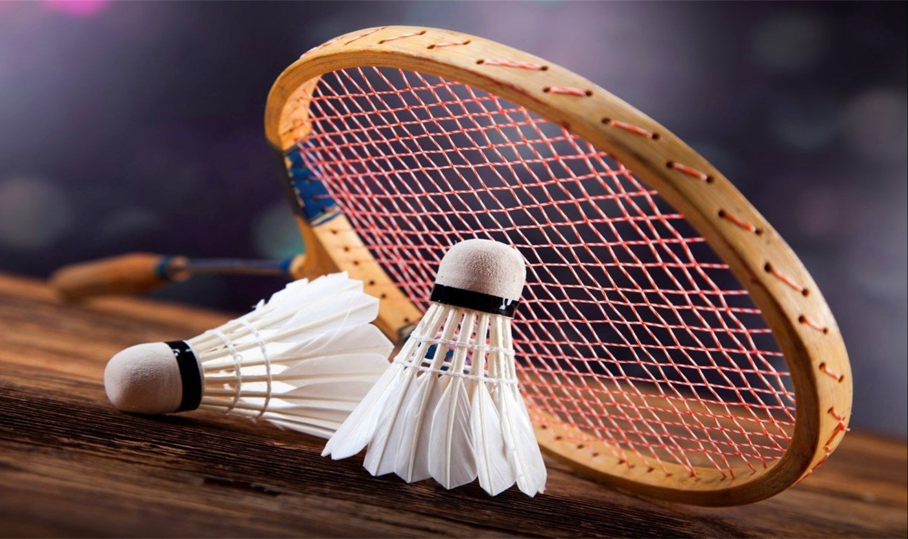 仅仅是对战 仅仅是对战