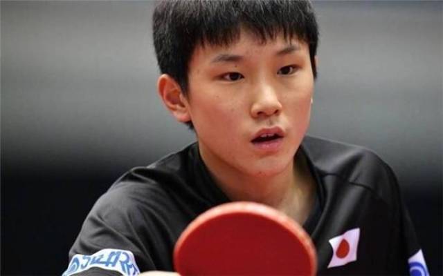 本文将深入 本文将深入